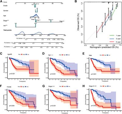 Cuproptosis-related lncRNAs predict the clinical outcome and immune characteristics of hepatocellular carcinoma